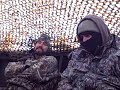 Great Shoal Hunting Great Shoal Hunting