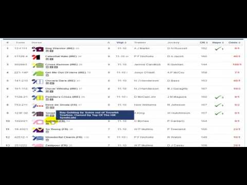 cheltenham tips