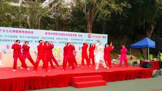 2017灣仔區太極匯粹---和弟子表演集體趙堡和式太極拳