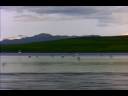Lake.wmv