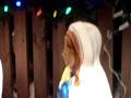 videos de 11-The Nativity in the bush.AVI