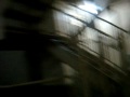 MOV03951