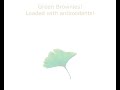 OptimalHealthNutrition-com_recipe_green_brownie.avi