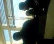 folino a scuola