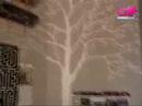 Glink.tv GDL - III Treee III