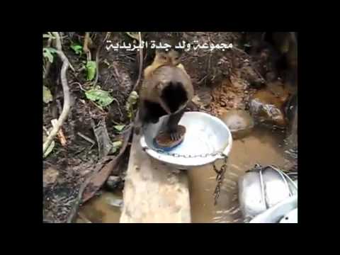 بعد الان انحلت مشكله الشغاله