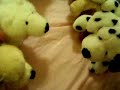 Webkinz Sleepover!