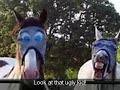 Silly Horses Silly Horses