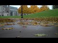 Rainy day on campus