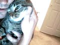 pussy-cat-dolls.html