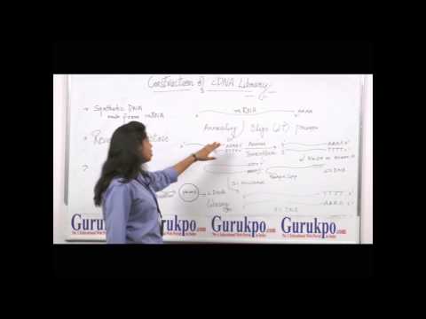 how to dissolve rnase a