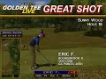 Golden Tee Great Shot on Sunny Wood! Golden Tee Great Shot on Sunny Wood!