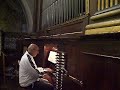 O Haupt voll Blut und Wunden, J. S. Bach, Studio di Giovanni Vianini