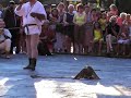 I maestri falconieri allo sbarco dell\ I maestri falconieri allo sbarco dell\