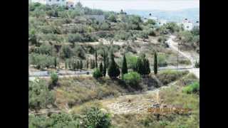 صور ومناظر ملتقطة من قرية عنزا