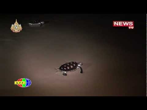 YouTube Preview Image