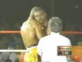bernard hopkins 対谷間ジョンソン部分2.html