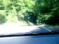 German forest outside Bad Ems