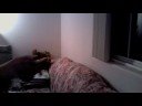 walking with toads Episode 1