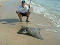 SURF FISHING 2005 SURF FISHING 2005