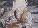 Barbarian Broly