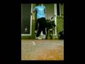 videos de markO c-walk PART 2