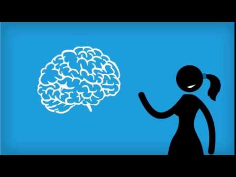 how to discover organizational culture