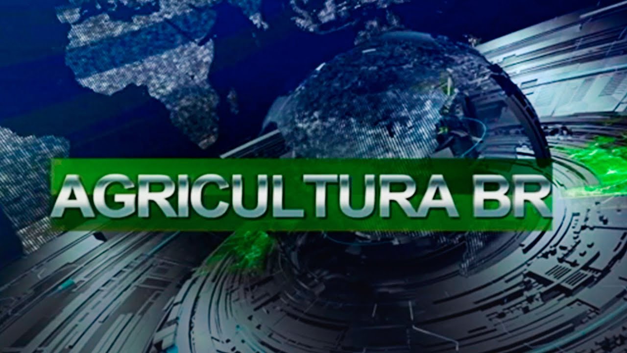 Agricultura BR 2ª Edição | 13/09/2024