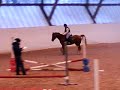 MOV00780.MP4