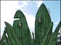 Grassy Gang \"Take Down\" Commercial