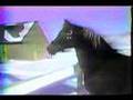 RJW Dantana - Januray 1989