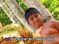 Sinhala song-Hitannego aya