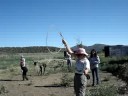 Diddle on the Ranch Diddle on the Ranch