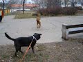 Bund�s,Rudi 2006.dec.1.