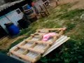 el picazo del jucar 2008