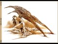 Quiero de Warcry. Ilustraciones de Luis Royo
