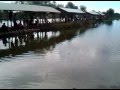 Kolam Mangrove Fishing.3GP