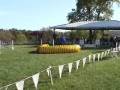 videos de Klepto BCSA Nationals Agility 2008