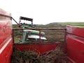 in the silage trailer, on the cliff, coverack cornwall