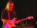 The Locos Blues Band Harp Harmonica Instrumental Manele-Gratis.net