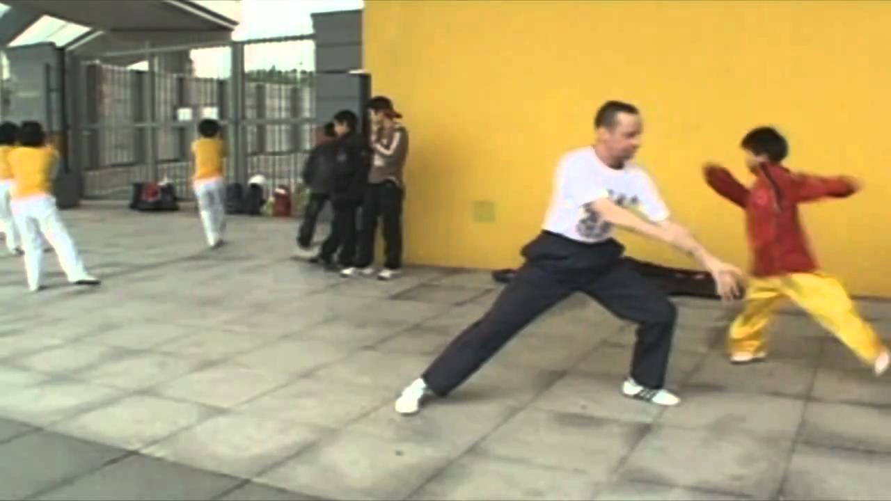 Chen Style Tai Ji Quan Form 36