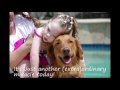 Surf Dog Ricochet - An extra-ordinary miracle fundraiser