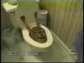 Videos Comicos