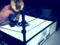Orton Cena