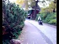 Wild life in city  foot safari..