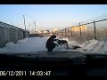 Якутский Хатико лежит рядом с телом подруги