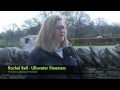 This is a video that the user has chosen on youtube