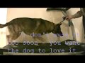 Kaden Shows Simple 12 Step Treadmill Workout and Falls
