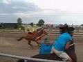 Montana Horse racing