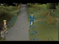 king funny